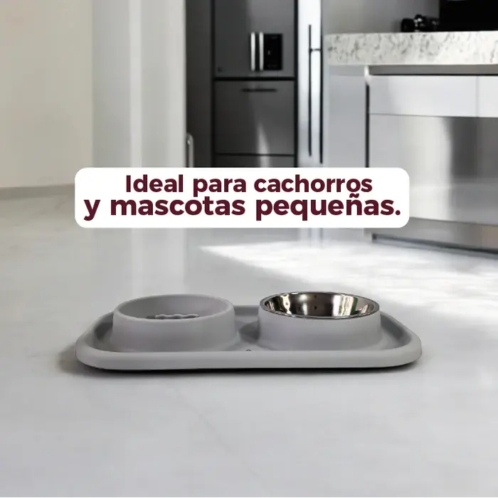 Comedero y Bebedero para Mascotas - Zaphira en oferta outlet Colombia saldos a huevo