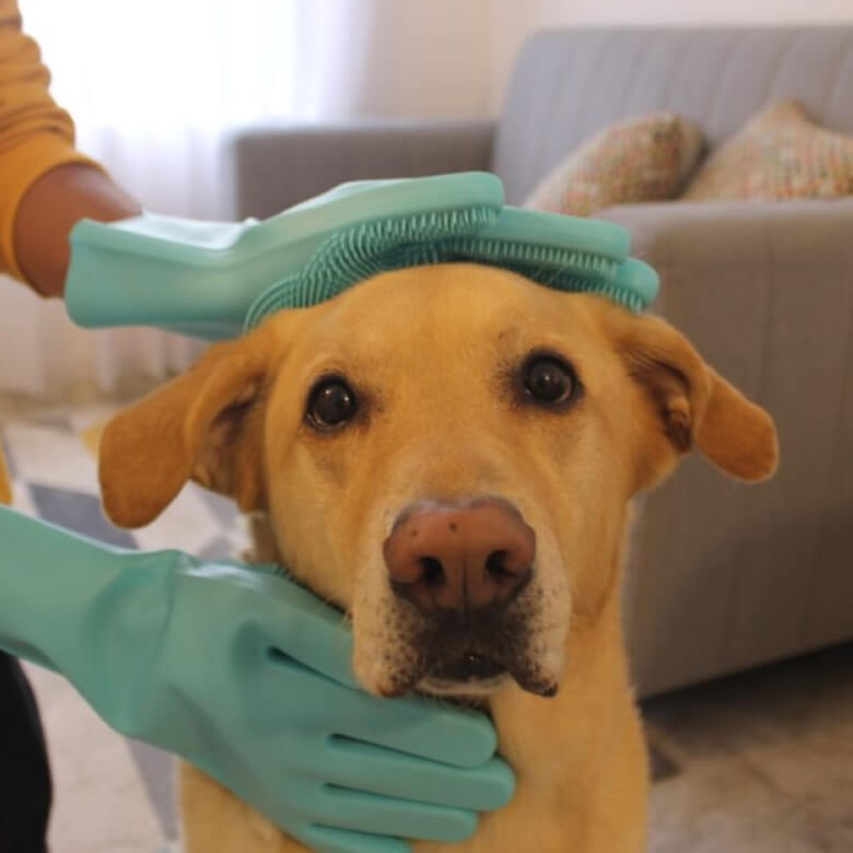Guantes Spa Para Mascotas - Eterna