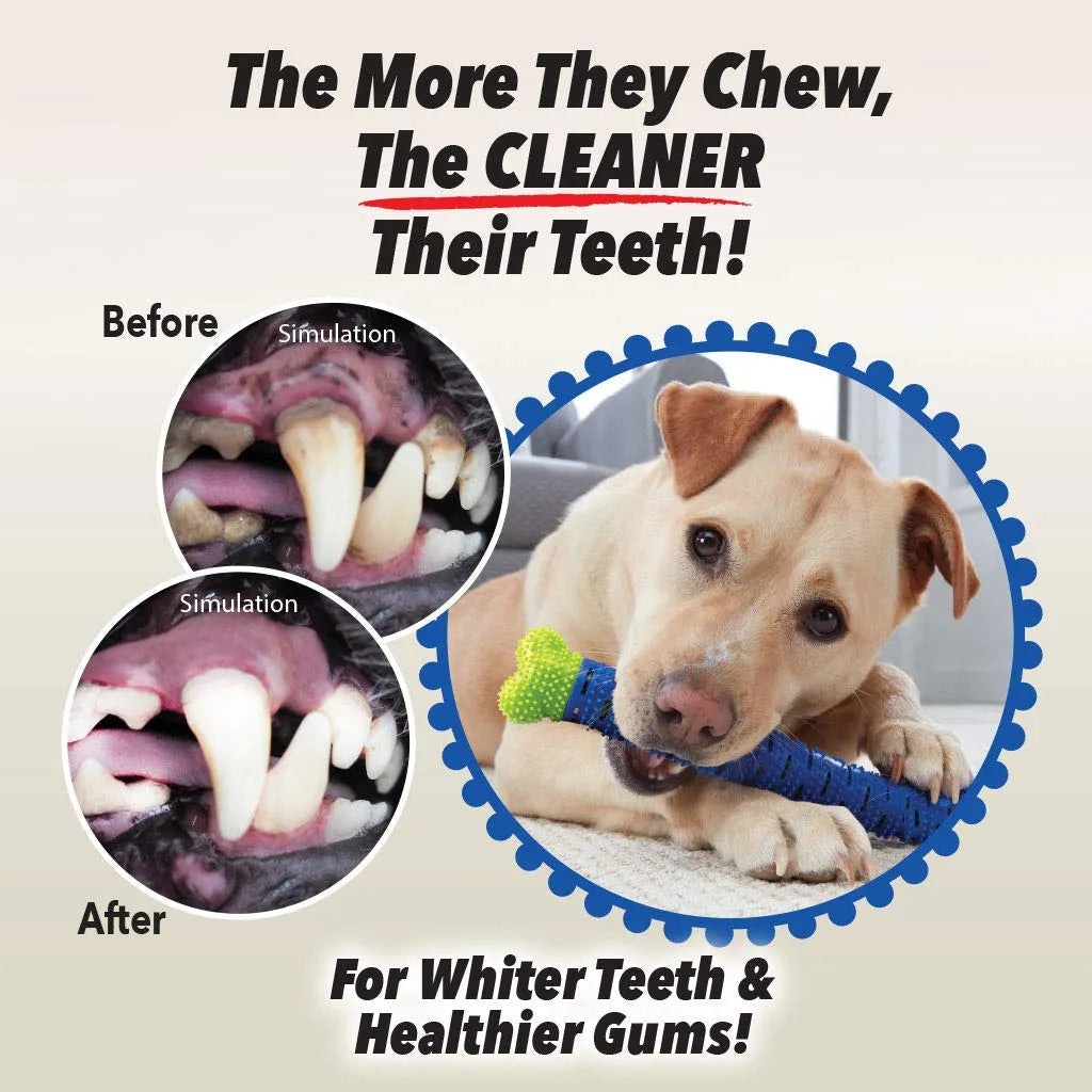 Cepillo Dental Chewbrush para Perros Talla L en oferta outlet Colombia saldos a huevo
