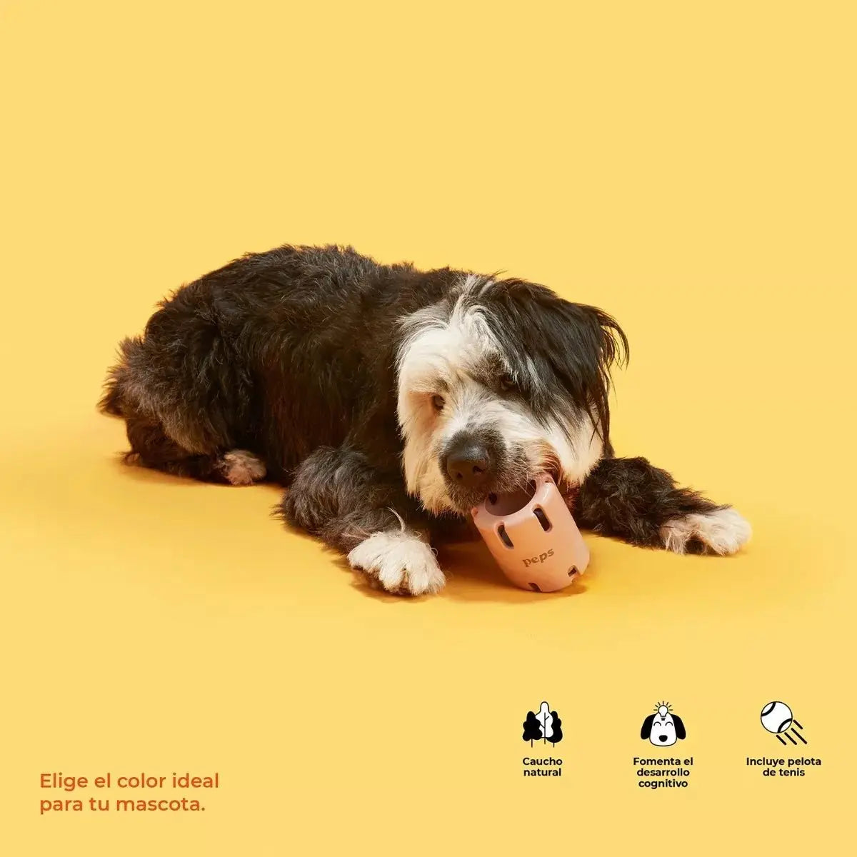 Juguete Interactivo Para Perro - Peps en oferta outlet Colombia saldos a huevo