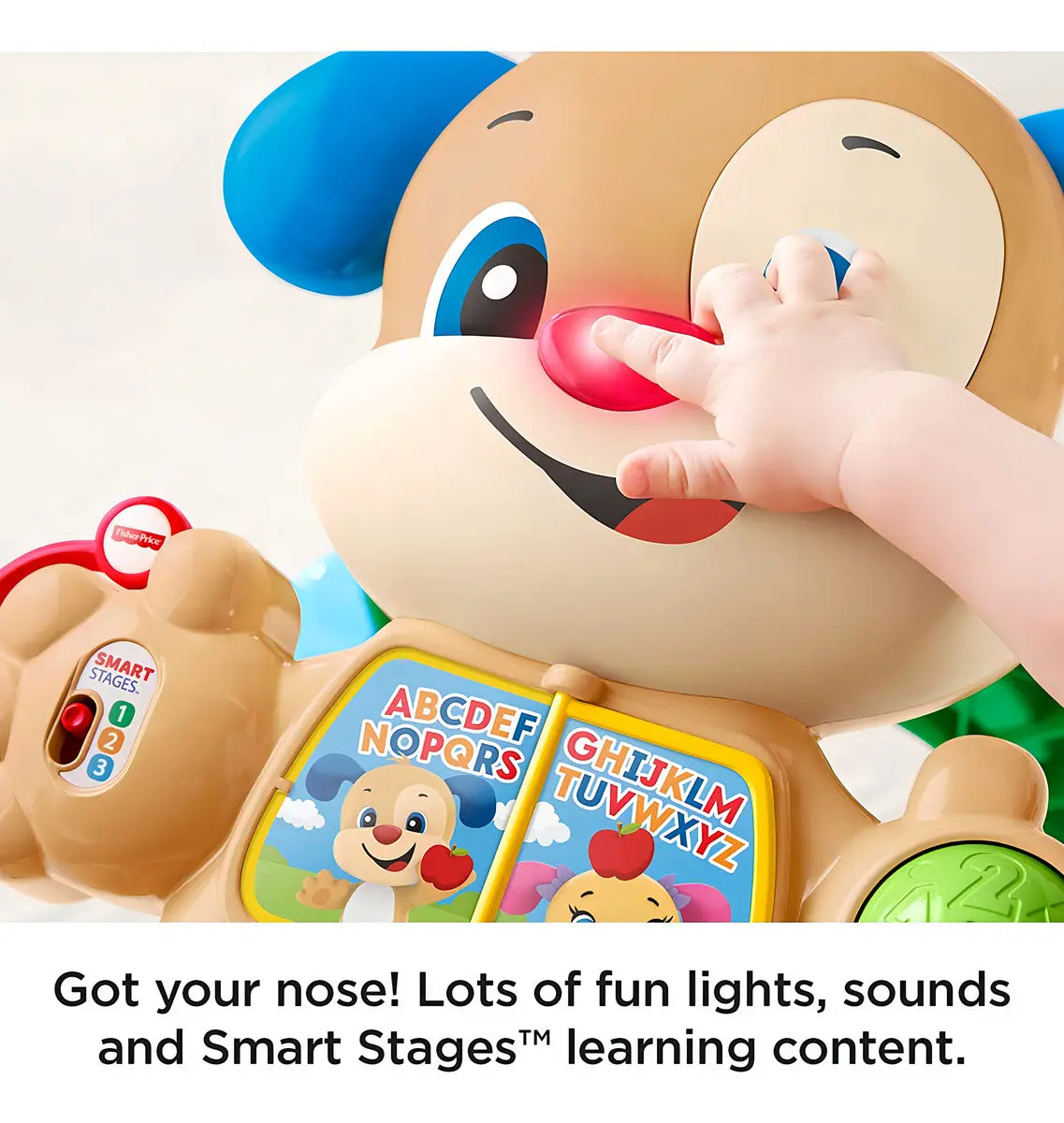 Perrito Andadera de Aprendizaje - Fisher Price