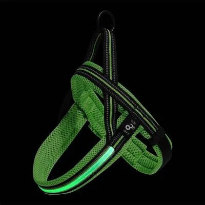 Arnes para perro 3 Funciones con Luz Led Verde Talla G PP336 - Saldos A Huevo