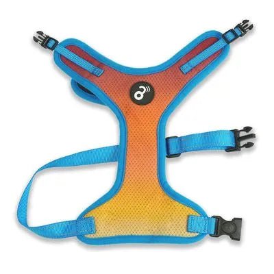 Arnés para Perro Flor Mesh Gradiente PP311 - Saldos A Huevo