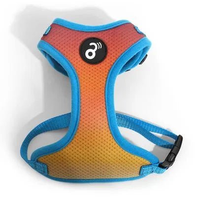 Arnés para Perro Flor Mesh Gradiente PP311 - Saldos A Huevo