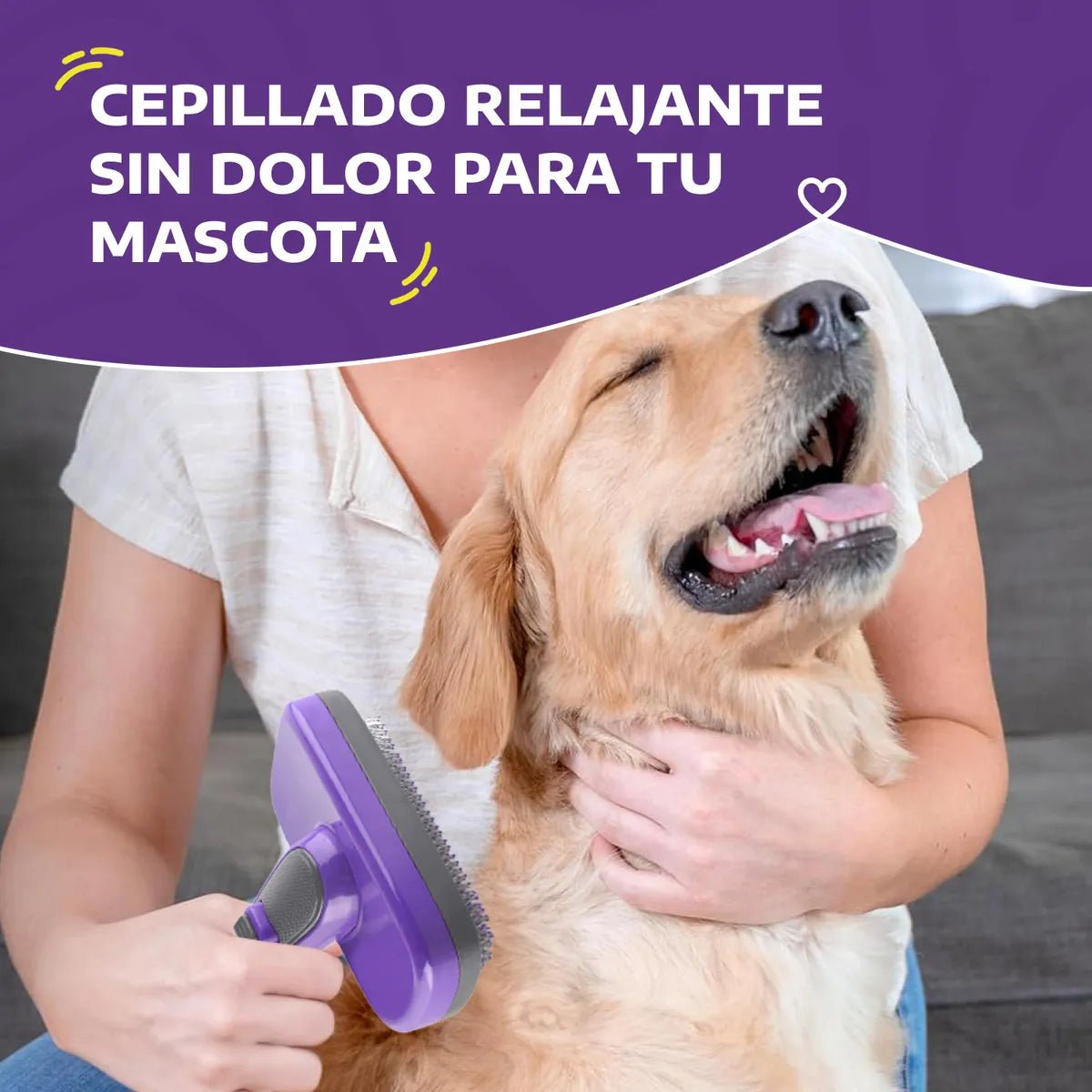 Cepillo Deslanador para Mascotas - Hertzko - Saldos A Huevo