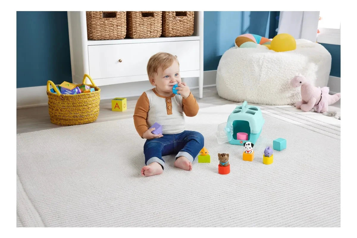 Mis Bloques de Mascotas - Fisher-Price en oferta outlet Colombia saldos a huevo